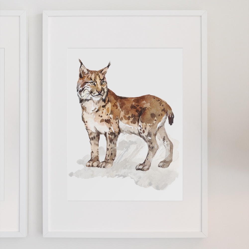 Wall Art Watercolor Lynx Bobcat Illustration Print Poster Unframed - Picture 6 of 17